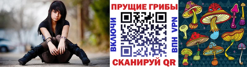 Галлюциногенные грибы MAGIC MUSHROOMS Гусев
