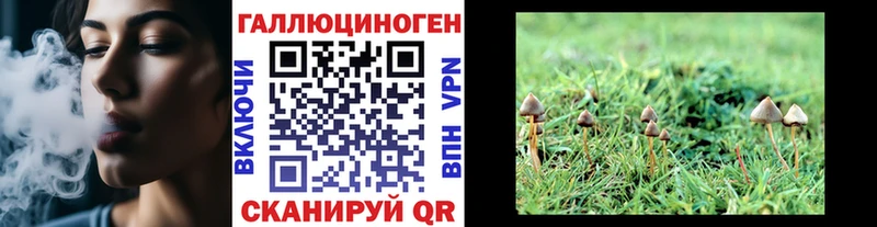 Псилоцибиновые грибы Magic Shrooms  Гусев 