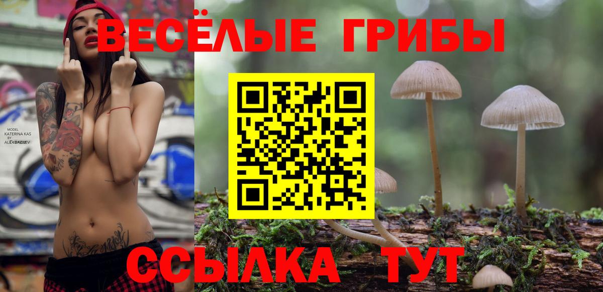 Гусев  Галлюциногенные грибы прущие грибы  Вход с VPN 